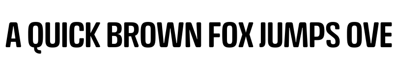 Preview of FONTSPRING DEMO - Crossfit Headline Demi Regular font