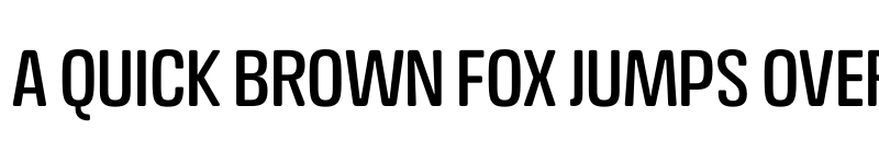 Preview of FONTSPRING DEMO - Crossfit Headline Regular font