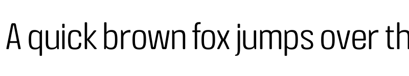 Preview of FONTSPRING DEMO - Crossfit Light Regular font