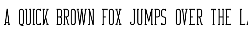 Preview of FONTSPRING DEMO - CrossRoad SlabLong Regular font