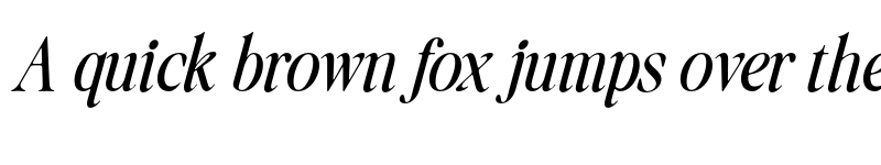 Preview of FONTSPRING DEMO - Daily Flashback Italic font