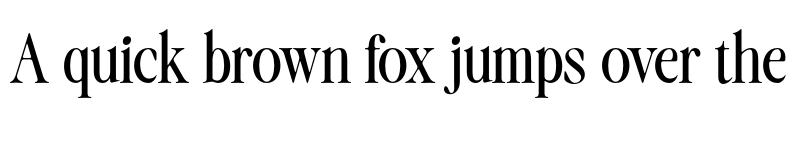 Preview of FONTSPRING DEMO - Daily Flashback Regular font