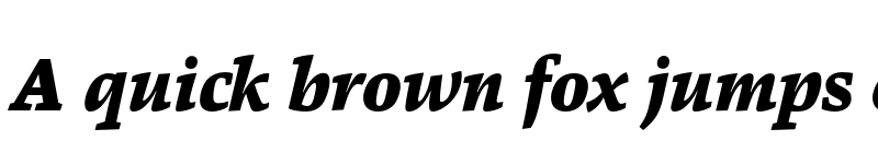 Preview of FONTSPRING DEMO - Danton Black Italic font