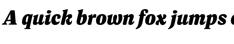 Preview of FONTSPRING DEMO - Dashiell Bright Black Italic font