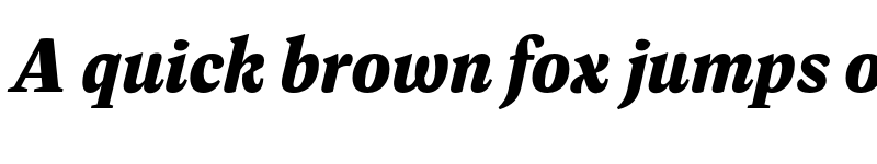 Preview of FONTSPRING DEMO - Dashiell Bright X-Bold Italic font