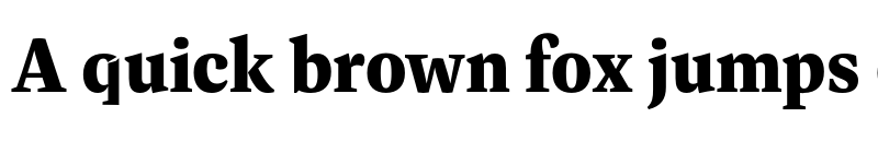 Preview of FONTSPRING DEMO - Dashiell Bright X-Bold Regular font