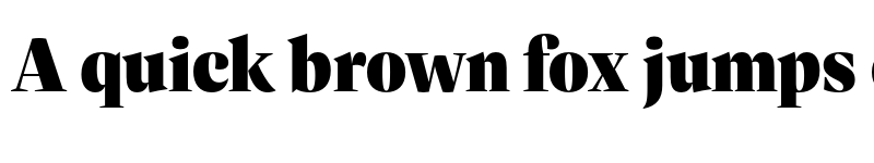 Preview of FONTSPRING DEMO - Dashiell Fine Black Regular font