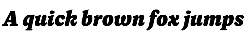 Preview of FONTSPRING DEMO - Dashiell Text Black Italic font