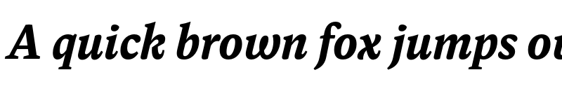 Preview of FONTSPRING DEMO - Dashiell Text Bold Italic font