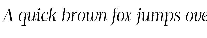 Preview of FONTSPRING DEMO - Debira Italic font