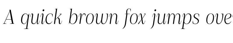 Preview of FONTSPRING DEMO - Debira Light Italic font