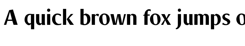 Preview of FONTSPRING DEMO - Decennie Express JY Pro Heavy Heavy font