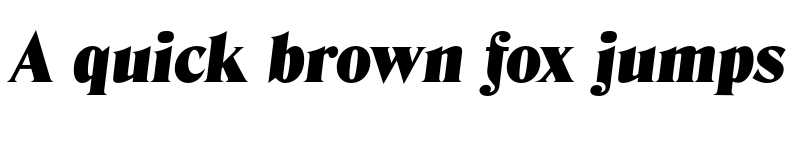 Preview of FONTSPRING DEMO - Denver Serial Black Italic font