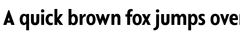 Preview of FONTSPRING DEMO - Departura Bold font