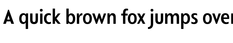 Preview of FONTSPRING DEMO - Departura SemBd Regular font