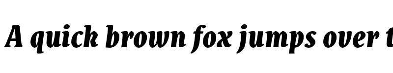 Preview of FONTSPRING DEMO - Destra Black Italic font