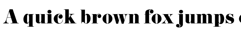 Preview of FONTSPRING DEMO - DidoniURWDReg Regular font