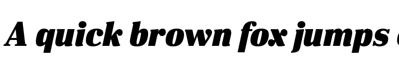 Preview of FONTSPRING DEMO - DIN Neue Roman Black Italic font