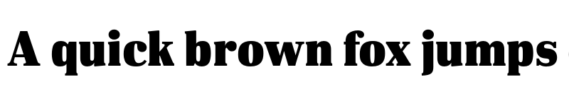 Preview of FONTSPRING DEMO - DIN Neue Roman Black Regular font