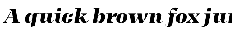 Preview of FONTSPRING DEMO - Display Bk It Italic font