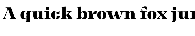 Preview of FONTSPRING DEMO - Display Bk Regular font