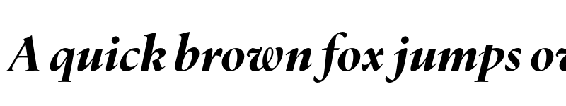 Preview of FONTSPRING DEMO - Dupincel Large Black Italic font