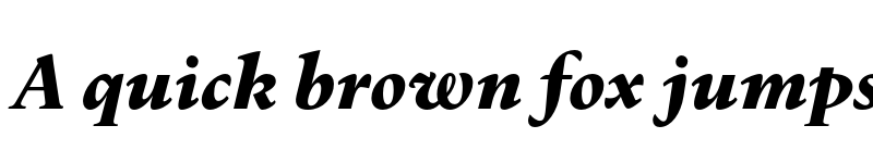 Preview of FONTSPRING DEMO - Dupincel Small Black Italic font