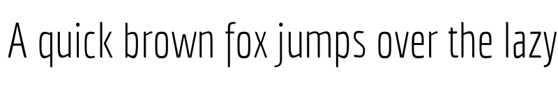 Preview of FONTSPRING DEMO - Economica Next 01 Thin font