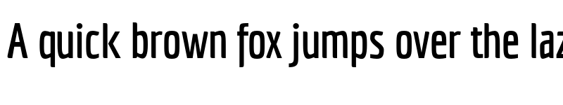 Preview of FONTSPRING DEMO - Economica Next 02 Bold font