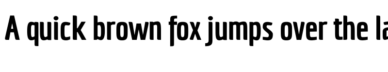 Preview of FONTSPRING DEMO - Economica Next 03 Black font