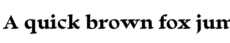 Preview of FONTSPRING DEMO - Escritura Display Extra Bold ExtraBold font