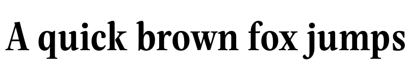 Preview of FONTSPRING DEMO - Evans Narrow Bold font