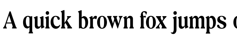 Preview of FONTSPRING DEMO - Exclusive Editorial Cond Regular font