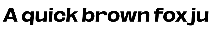 Preview of FONTSPRING DEMO - ExtBd Exp SeObli Italic font