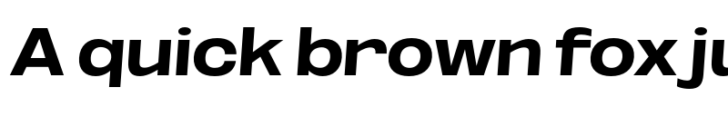 Preview of FONTSPRING DEMO - ExtBd ExtExp SeObli Italic font