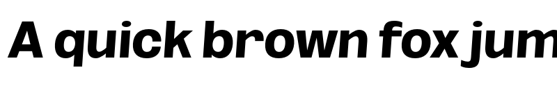 Preview of FONTSPRING DEMO - ExtBd SeObli Italic font