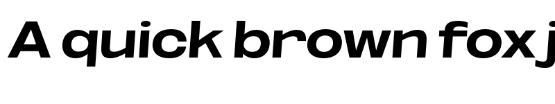 Preview of FONTSPRING DEMO - ExtBd UltExp SeObli Italic font