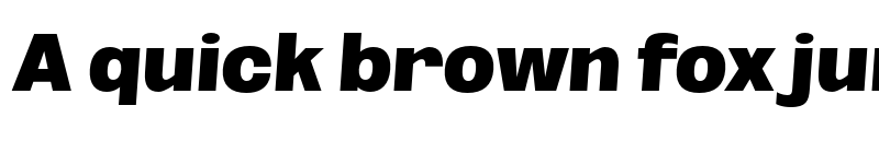 Preview of FONTSPRING DEMO - ExtBlk SeObli Italic font