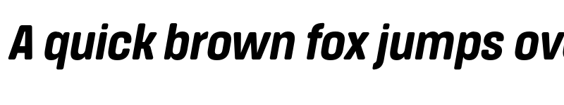 Preview of FONTSPRING DEMO - Extra Bold Nr It Italic font