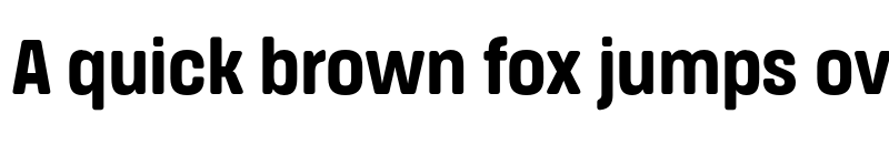 Preview of FONTSPRING DEMO - Extra Bold Nr Regular font