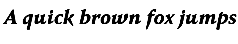 Preview of FONTSPRING DEMO - Faber Serif Pro Heavy Bold Italic font