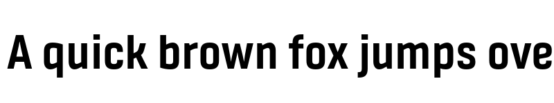 Preview of FONTSPRING DEMO - Fester Bold font