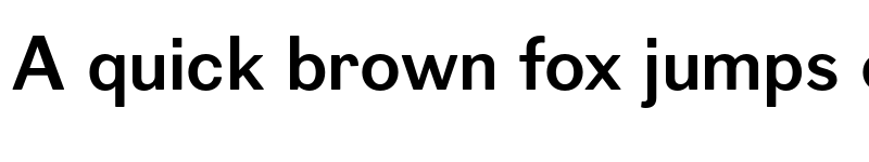 Preview of FONTSPRING DEMO - Figgins Sans Bold font