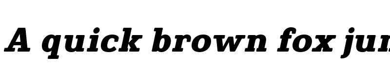 Preview of FONTSPRING DEMO - Finador Slab Heavy Oblique Regular font