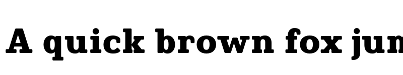 Preview of FONTSPRING DEMO - Finador Slab Heavy Regular font
