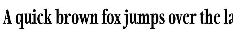 Preview of FONTSPRING DEMO - Fionas ExtBd Regular font