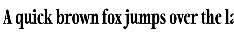 Preview of FONTSPRING DEMO - Fionas Heavy Regular font