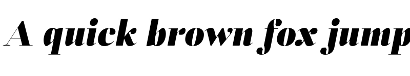 Preview of FONTSPRING DEMO - Fiorina Grande Black Italic font