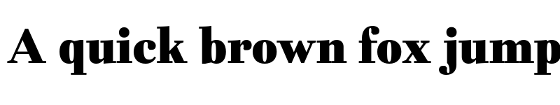 Preview of FONTSPRING DEMO - Fiorina Subhead Black Regular font