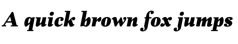 Preview of FONTSPRING DEMO - Fiorina Text Black Italic font